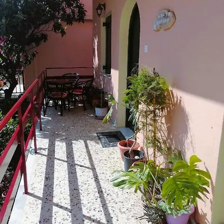 Vassia's * 바니체스