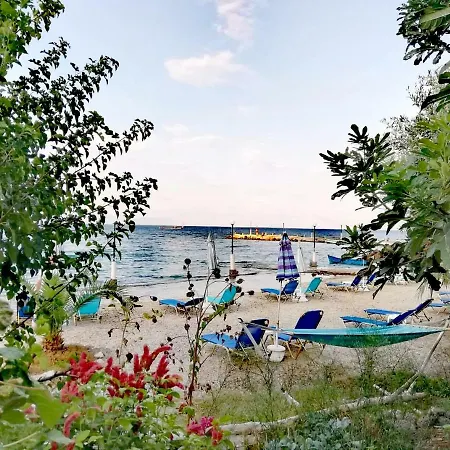 아파트 Vassia's 바니체스